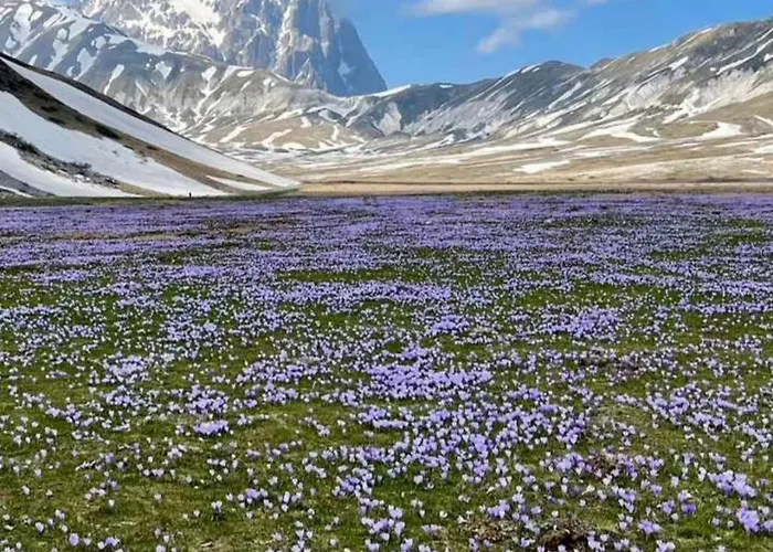 Amelia Sweet - * Farindola