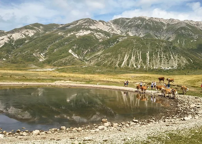 Amelia Sweet - Farindola