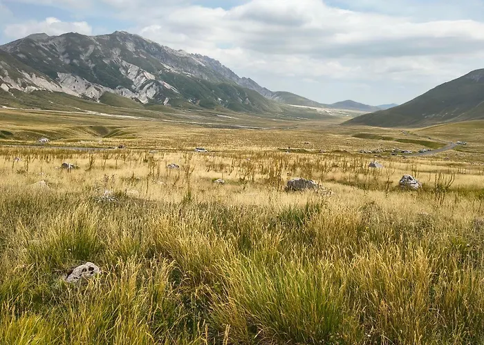 בית נופש Amelia Sweet -